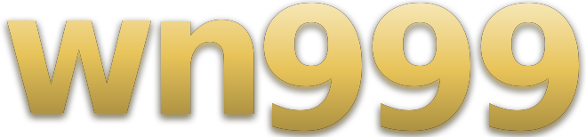 wn999 logo